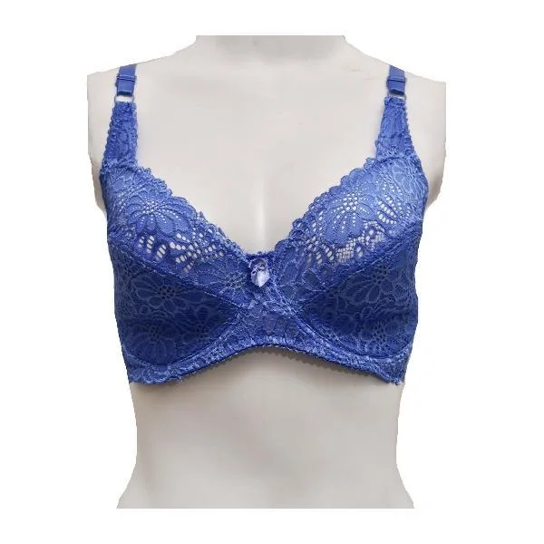 Plus Size Lace & Net Fancy Bra High Support Bra