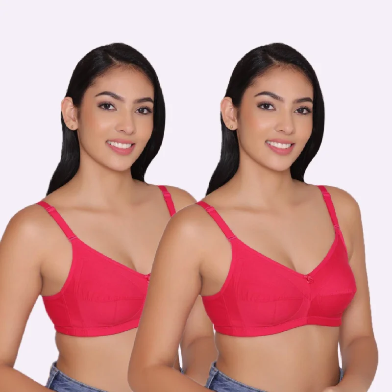 Women's Non Padded Non Wired Full Coverage Bra with No Spillage (Pack of 2)-ELSA Sexy Mesh Bralette